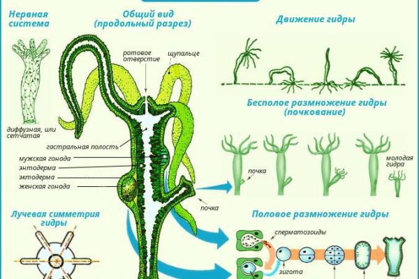 Маркетплейс кракен kraken