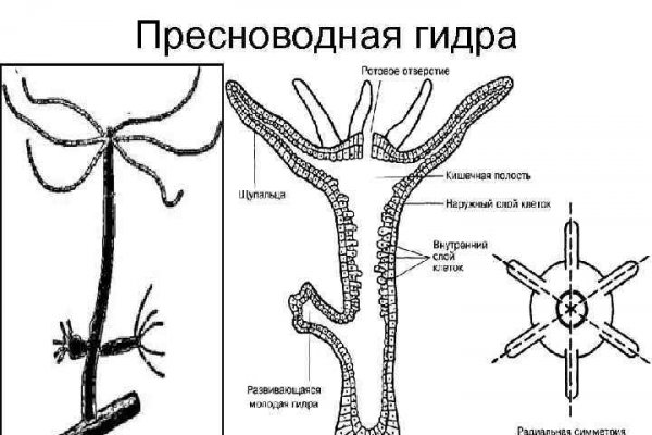 Кракен не заходит