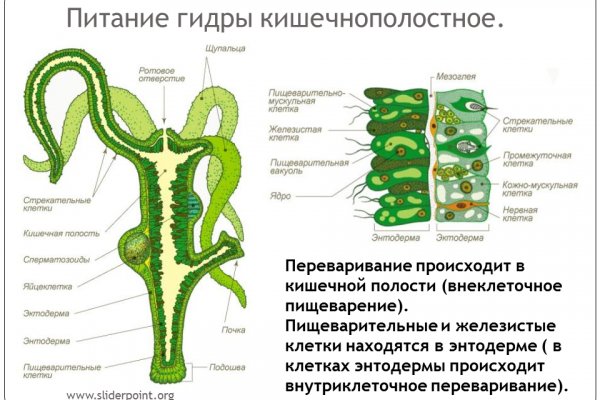 Кракен онион kraken014 com