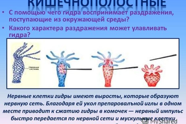 Кракен маркетплейс официальный сайт
